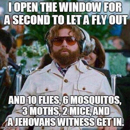 Tickled #503: I open the window for a second to let a fly out and 10 flies, 6 mosquitoes, 3 moths, 2 mice and a Jehovah's witness get in.