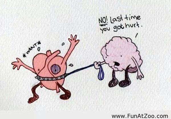 Tickled #628: Brain vs Heart
