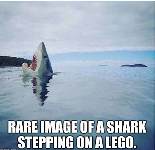 Tickled #677: Rare image of a shark stepping on a Lego.