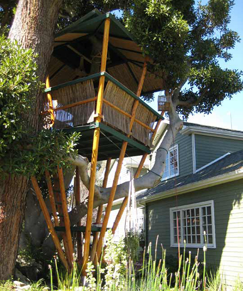 Treehouses #1: 