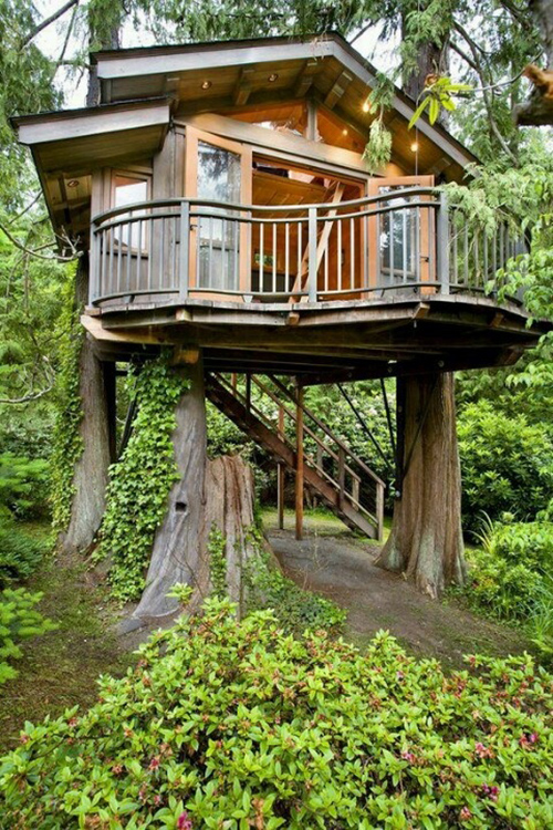 Treehouses #2: 