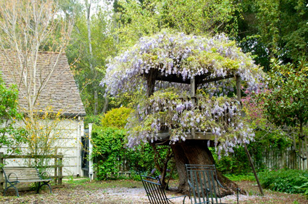 Treehouses #4: 