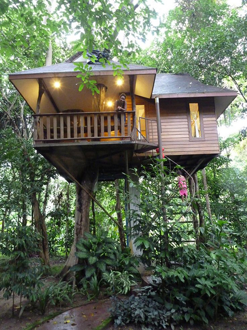 Treehouses #6: 