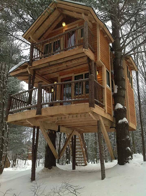 Treehouses #8: 