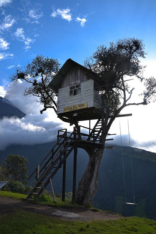 Treehouses #11: 