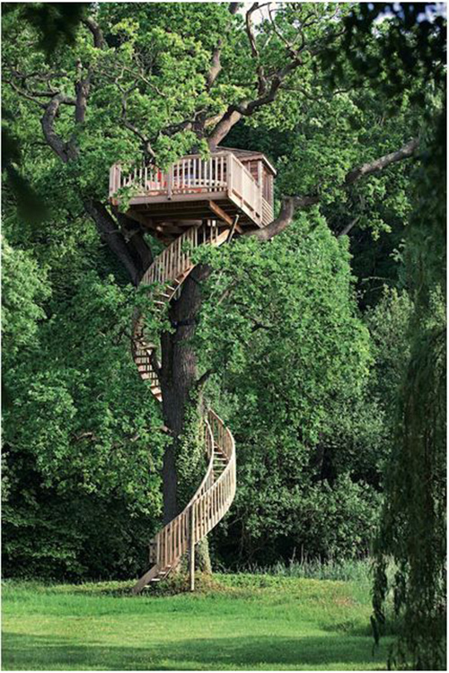 Treehouses #12: 