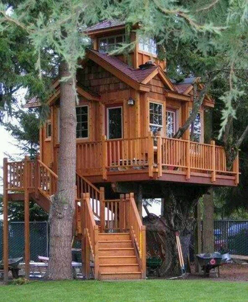 Treehouses #13: 