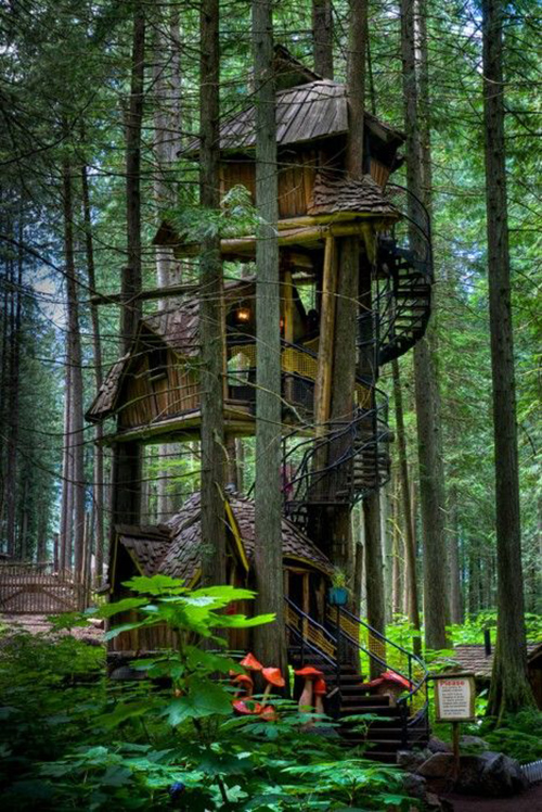 Treehouses #14: 