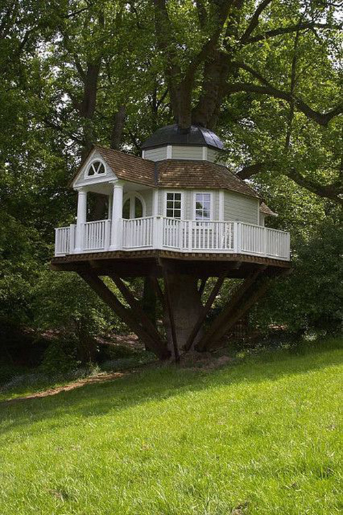 Treehouses #17: 