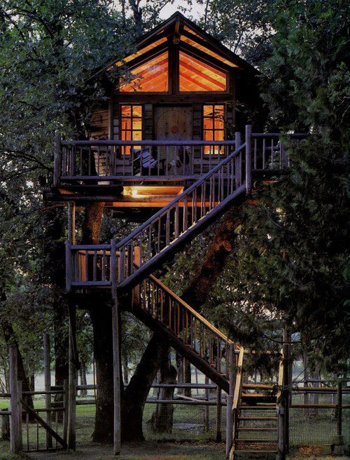 Treehouses #18: 