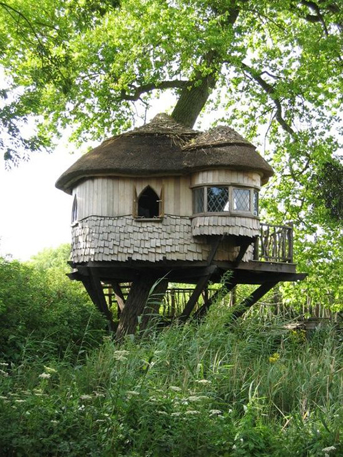 Treehouses #20: 