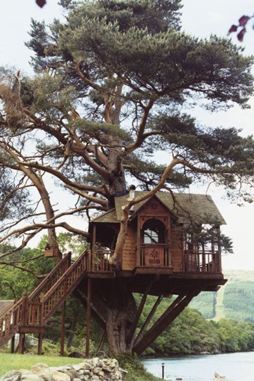 Treehouses #22: 