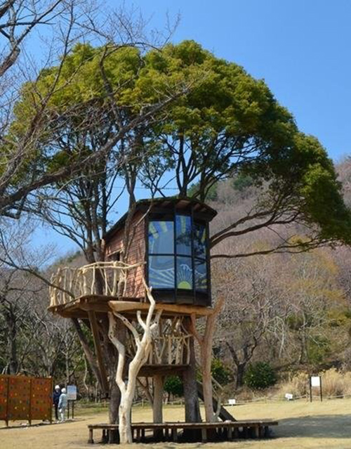 Treehouses #23: 