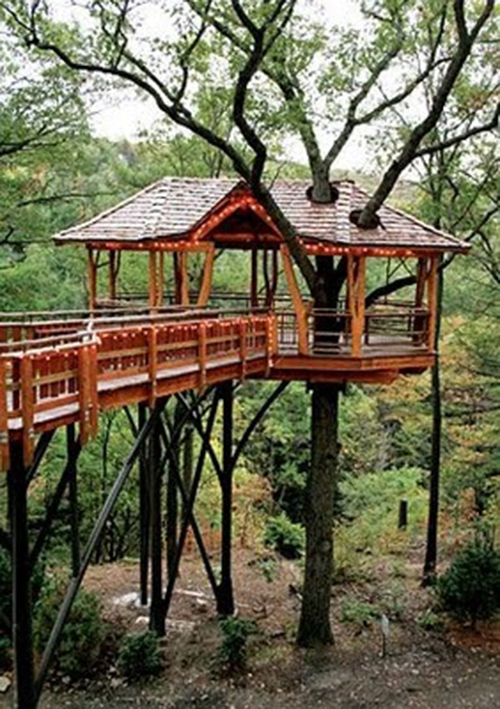 Treehouses #27: 