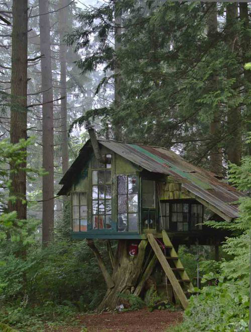 Treehouses #29: 