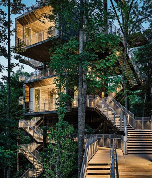 Treehouses #30: 