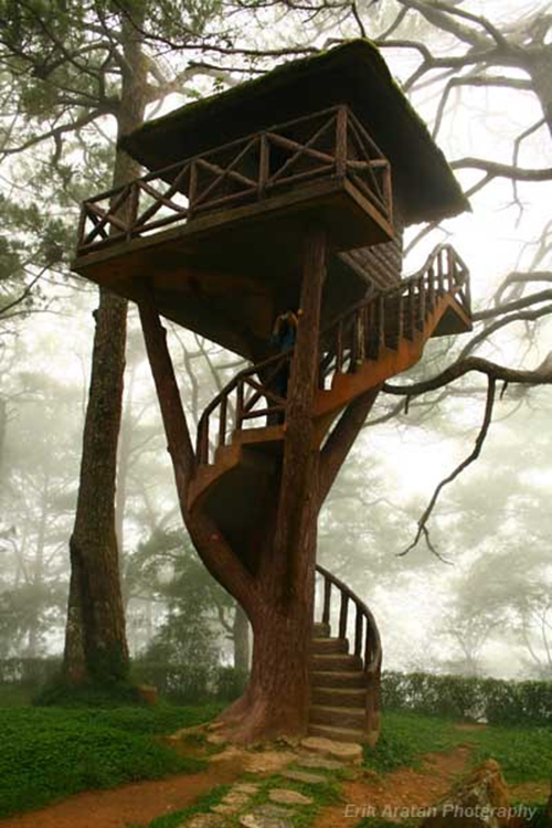 Treehouses #32: 