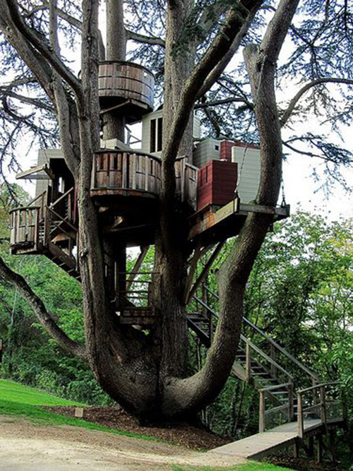 Treehouses #33: 