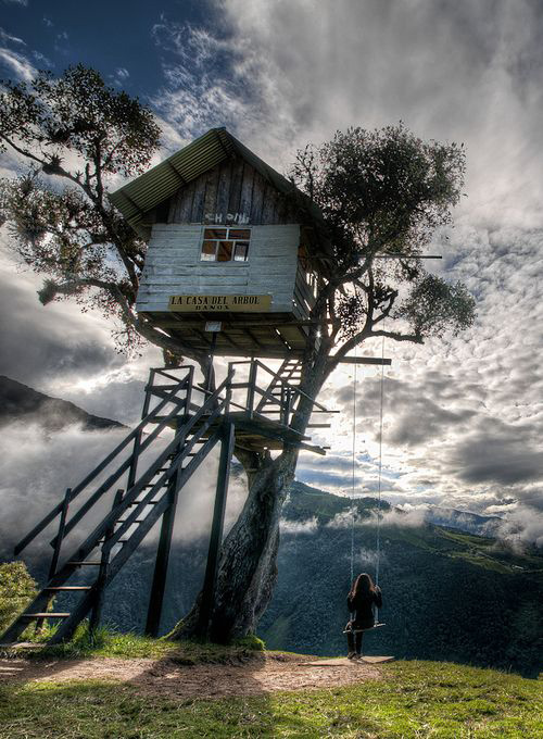 Treehouses #35: 