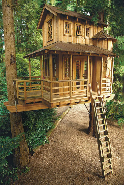 Treehouses #36: 