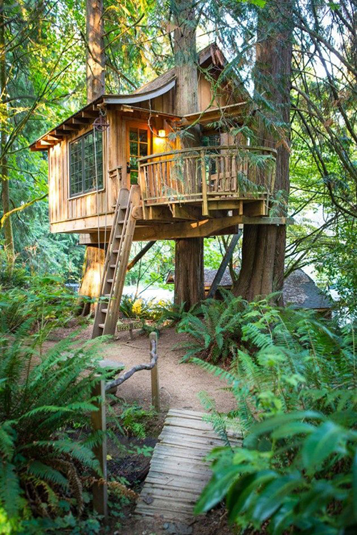 Treehouses #37: 