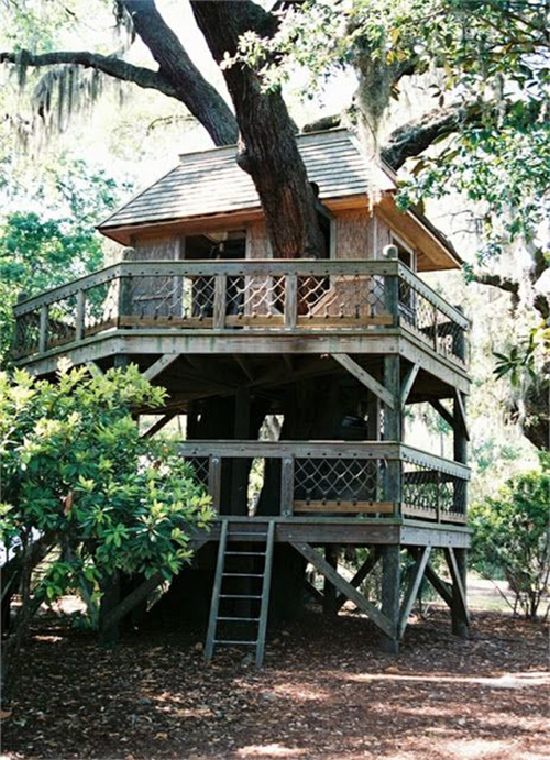 Treehouses #41: 