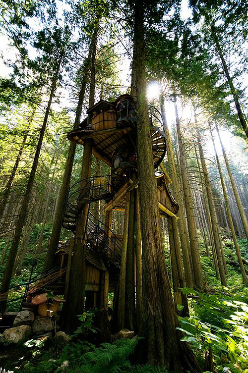 Treehouses #42: 