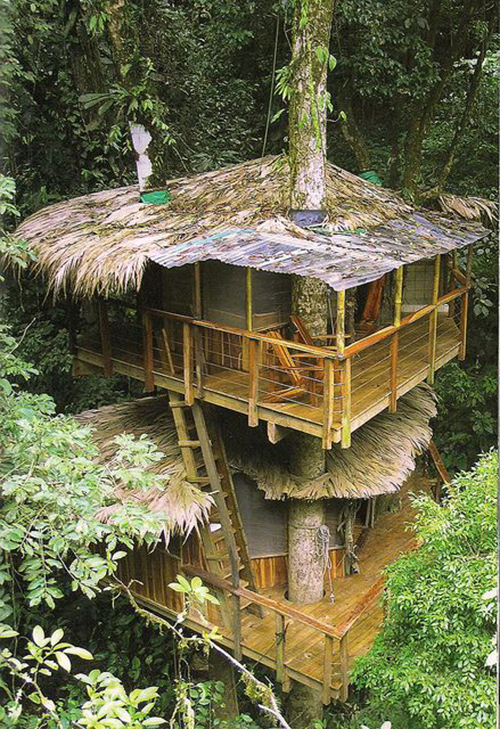 Treehouses #48: 