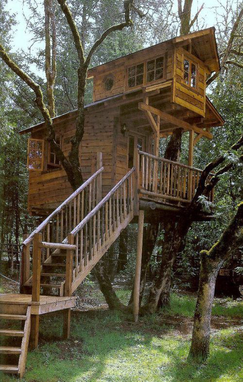 Treehouses #49: 