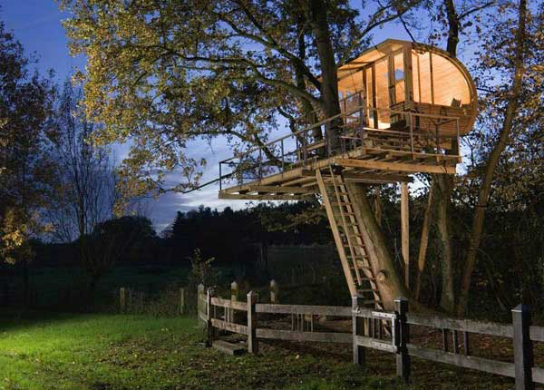 Treehouses #50: 