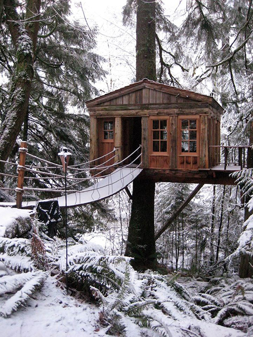 Treehouses #52: 