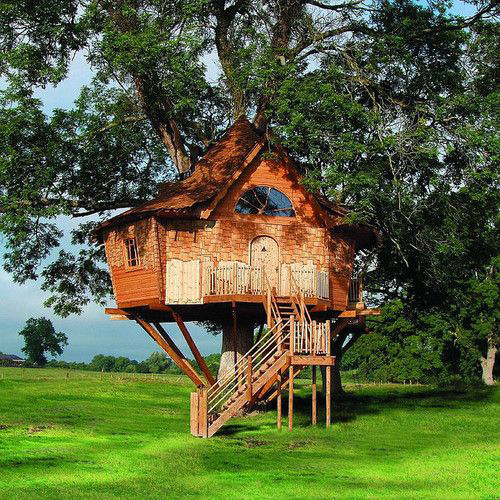 Treehouses #53: 