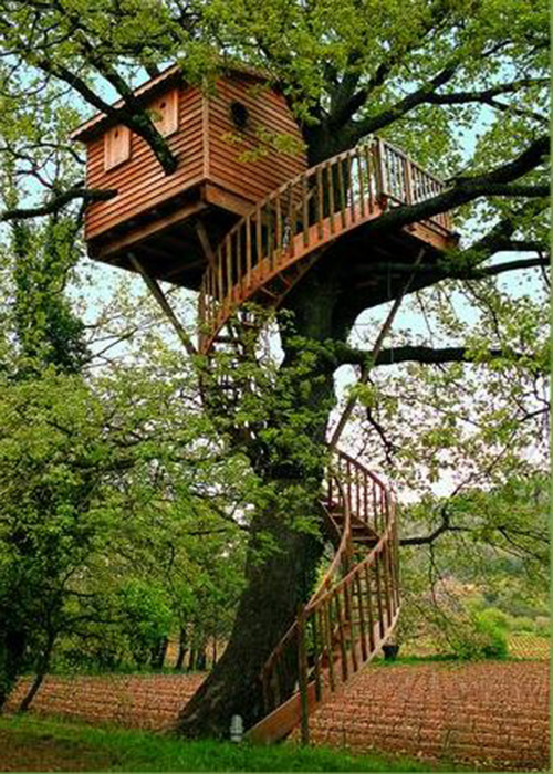 Treehouses #55: 