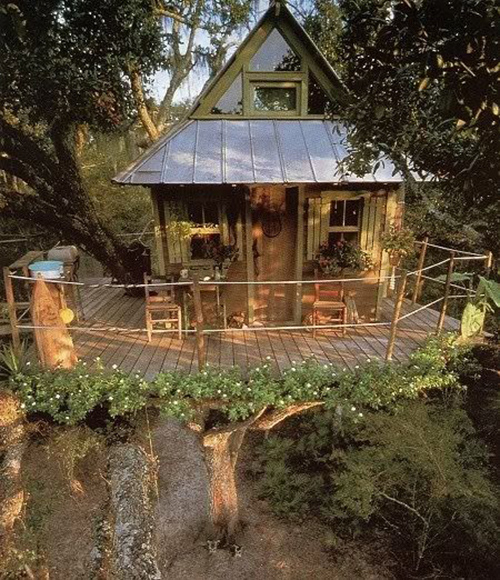 Treehouses #57: 