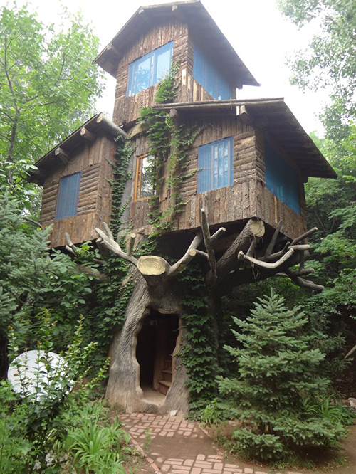 Treehouses #58: 