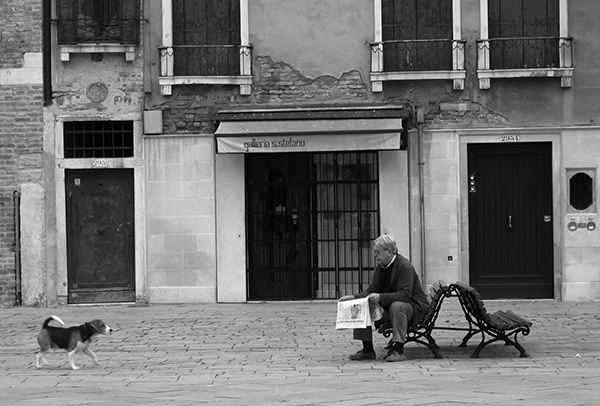 Quiet Times #31 by Jeremy Chin - Old Man Reading Newspaper on a Bench, Venice, Italy