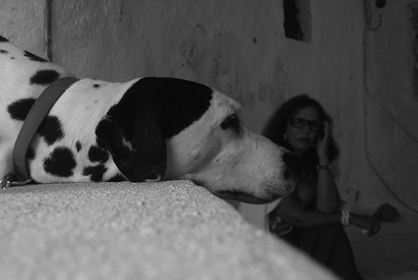 Quiet Times #47 by Jeremy Chin - Woman and Her Dog, Santorini, Greece