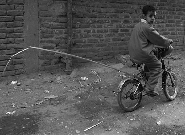 Sprouts #7 by Jeremy Chin - Child Rides Bicycle, Mount Sinai, Egypt