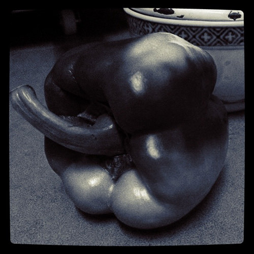 Stills #19 by Jeremy Chin - Bell Pepper